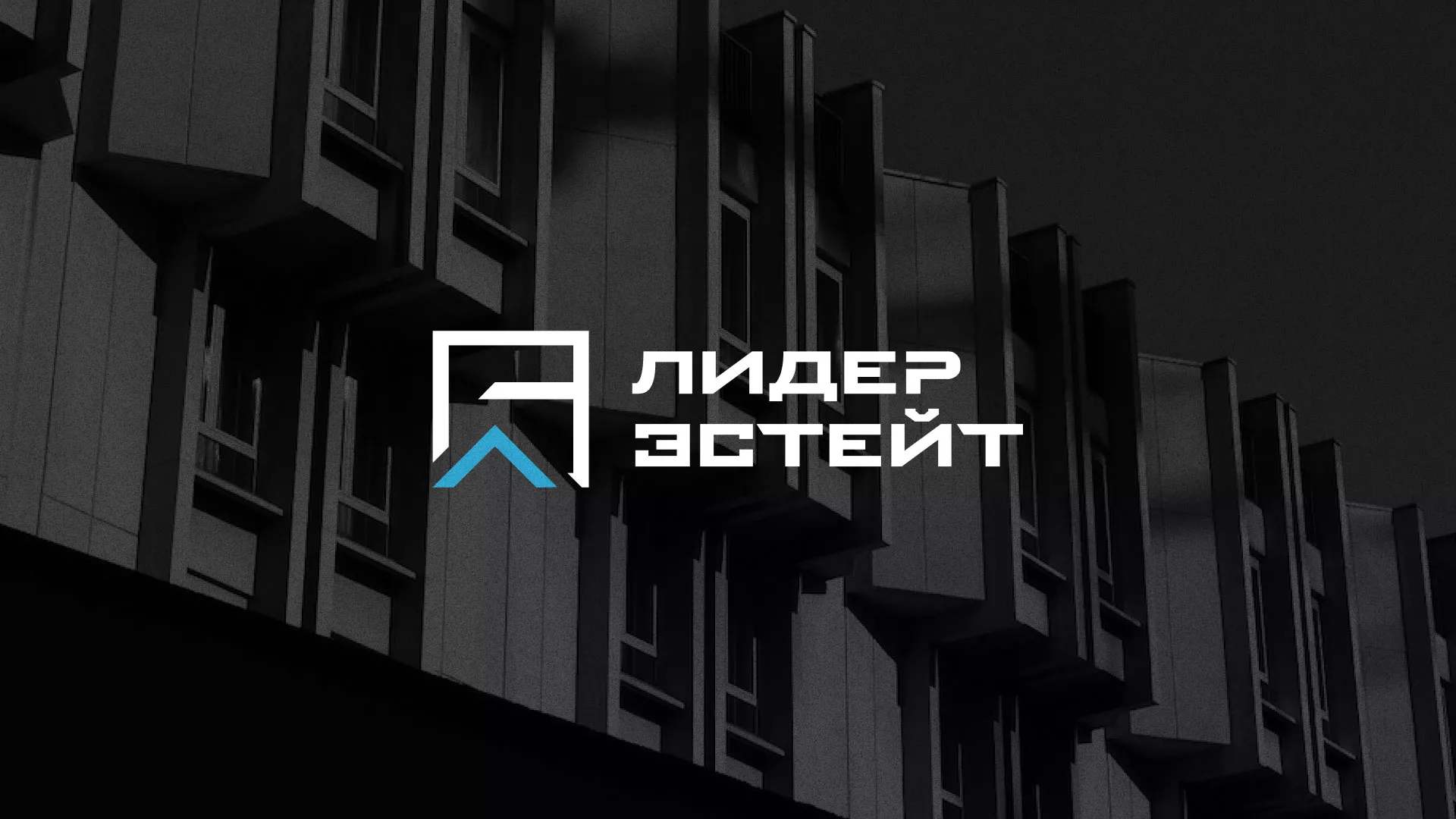 Разработка логотипа агентства недвижимости «Лидер Эстейт» в Поворино