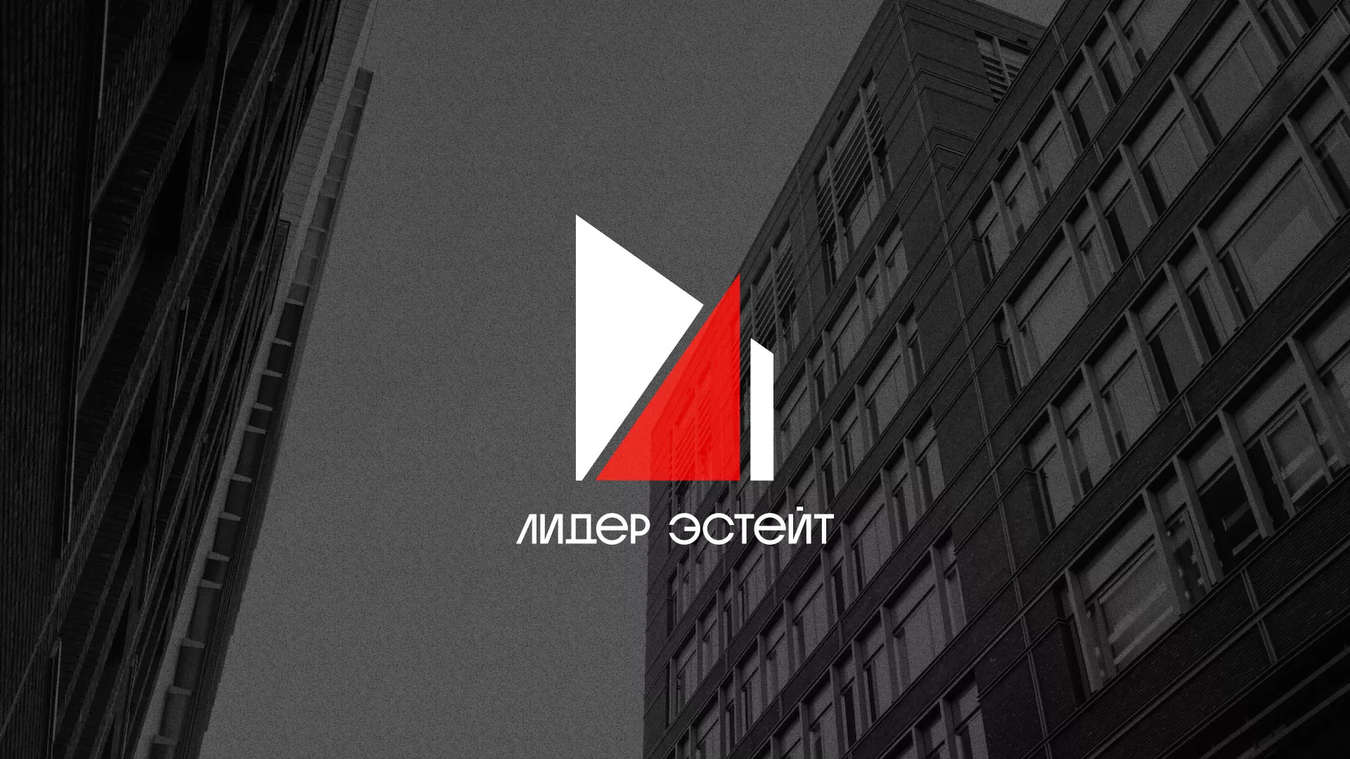 Сделали логотип для агентства недвижимости «Лидер Эстейт» в Поворино